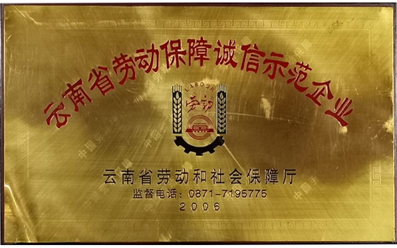 云南省勞動保障誠信示范企業(yè)（2006年）